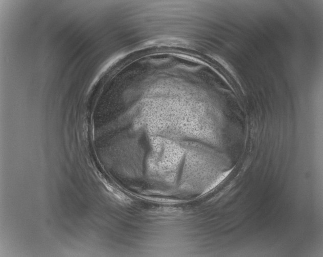 X0000078851115200612041859
