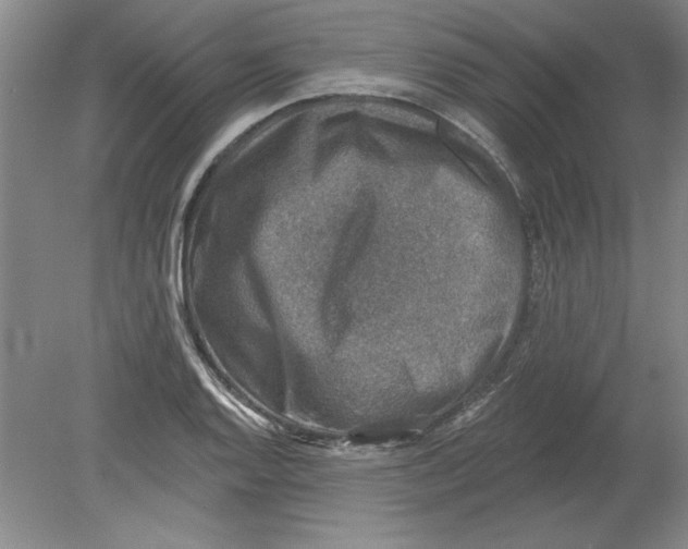 X0000078851128200612041859