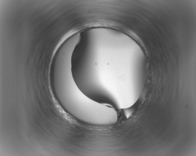 X0000078851138200612041859