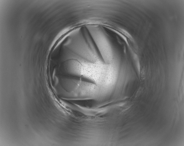 X0000078851146200612041859