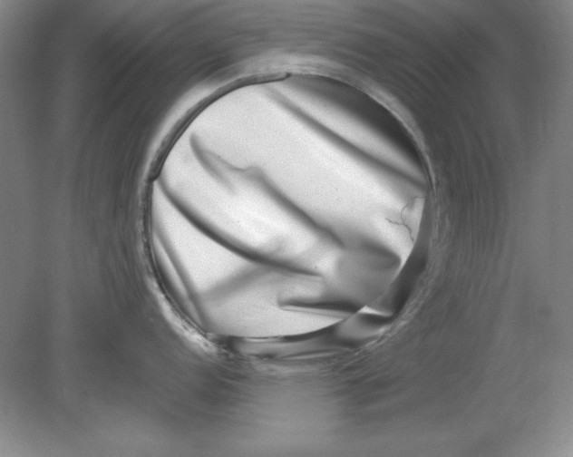 X0000078851152200612041859