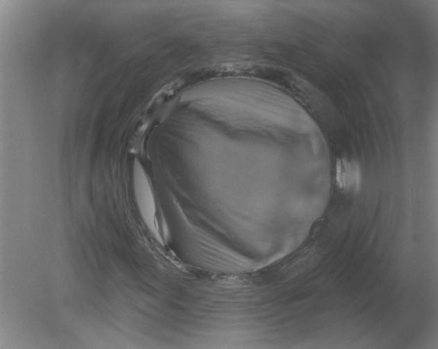 X0000078851155200612041858
