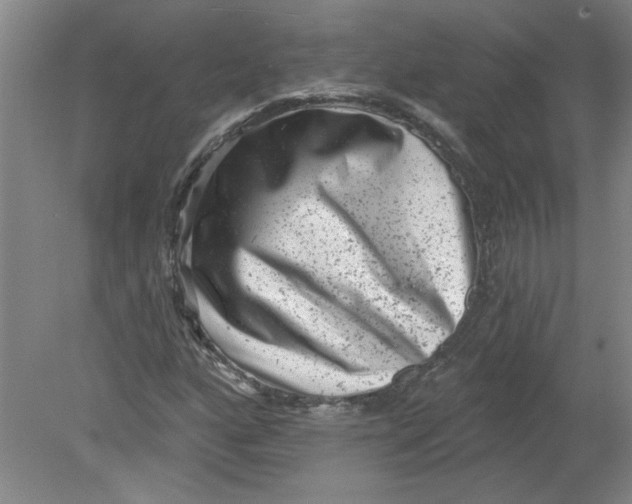 X0000078851160200612041858