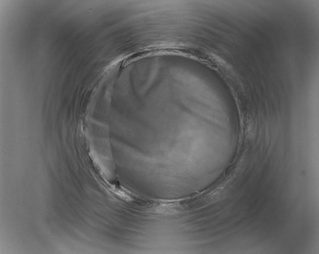 X0000078851161200612041858
