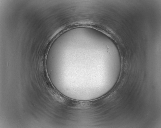 X0000078851162200612041858