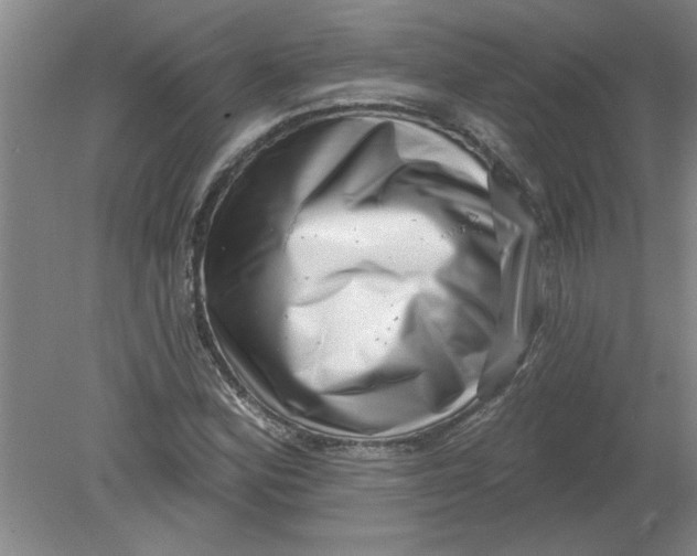 X0000078851164200612041858