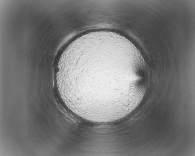 X0000078851171200612041858