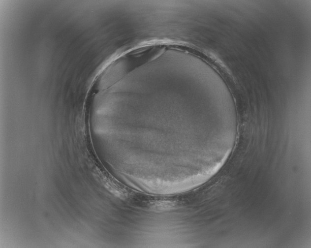 X0000078851173200612041858
