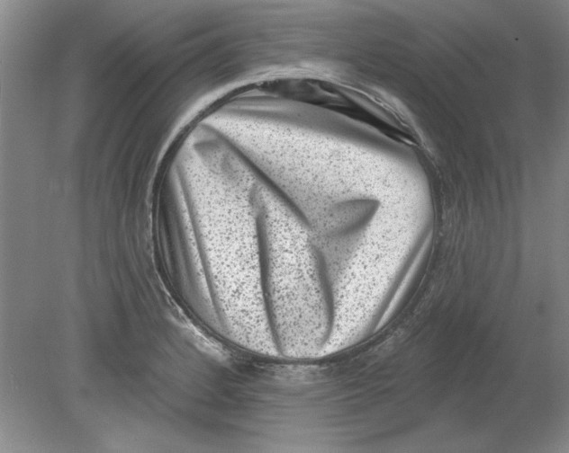 X0000078851184200612041858