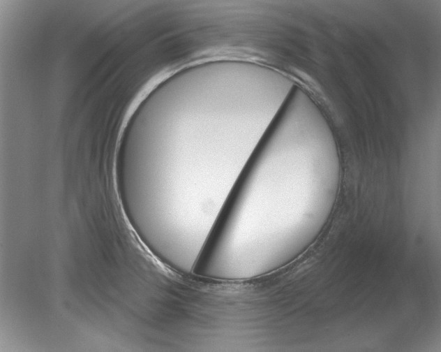 X0000078851188200612041858