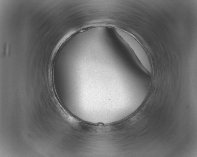 X0000078851196200612041858