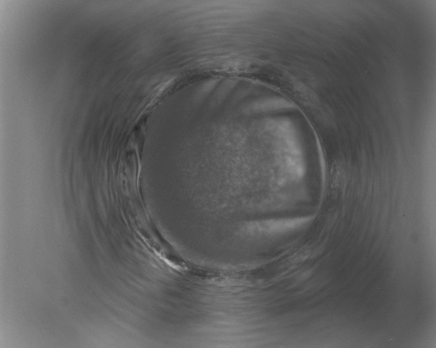 X0000078851202200612041857