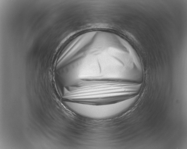 X0000078851212200612041857