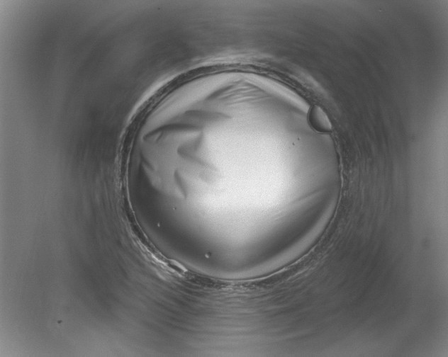 X0000078851216200612041857
