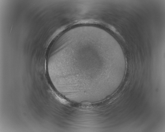 X0000078851221200612041857