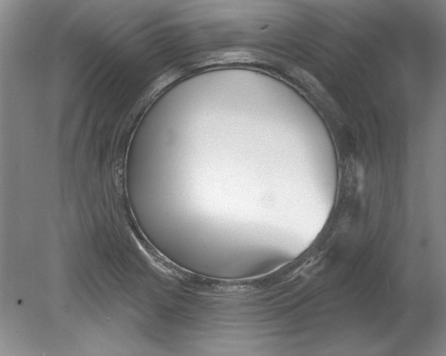 X0000078851225200612041857