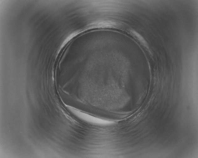 X0000078851226200612041857