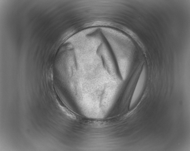 X0000078851241200612041858