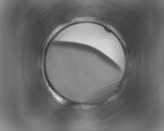 X0000078851245200612041858