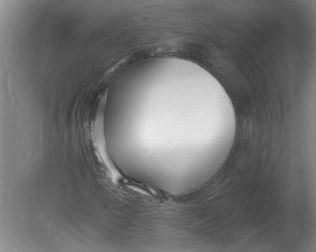 X0000078851250200612041857