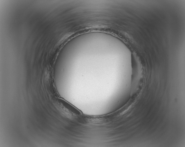 X0000078851257200612041857