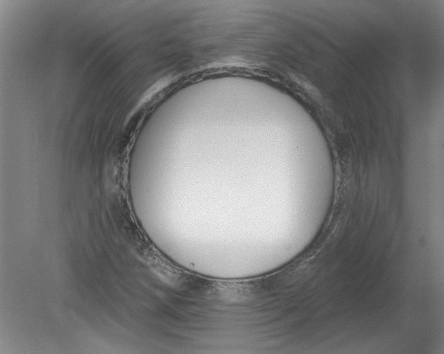 X0000078851258200612041857