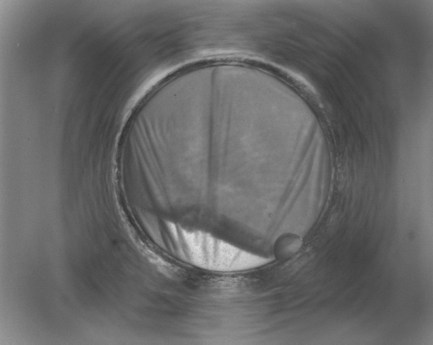 X0000078851279200612041856