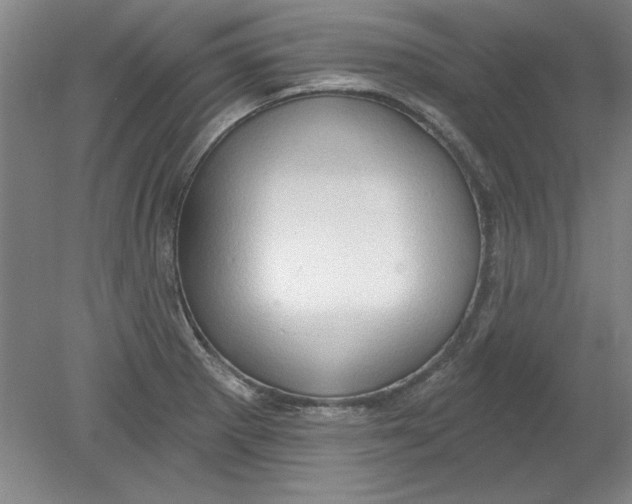 X0000078851281200612041856