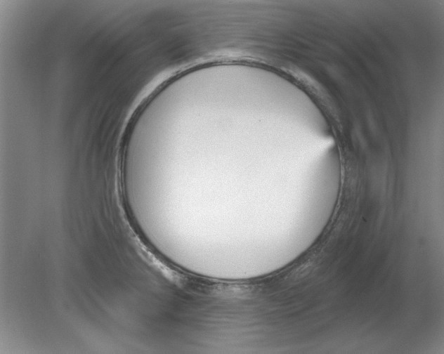 X0000078851286200612041856