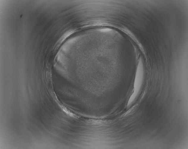 X0000078851289200612041856