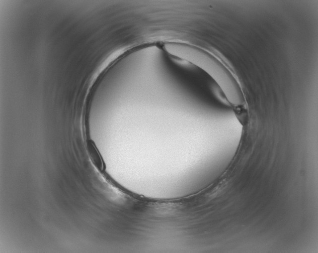 X0000078851293200612041856