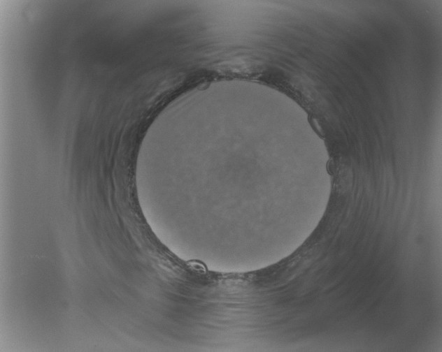 X0000078851297200612041855