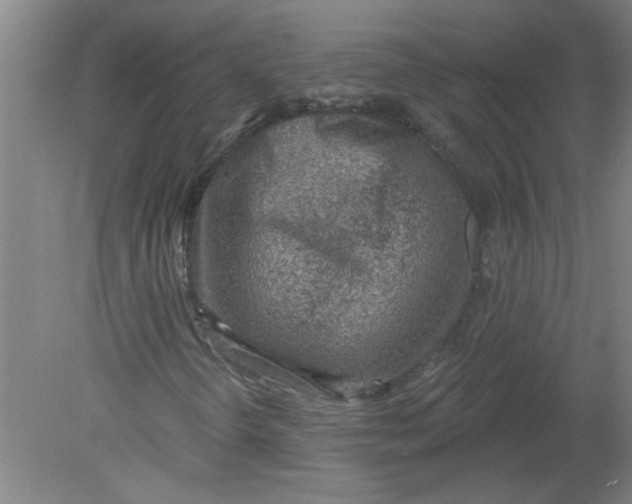 X0000078851298200612041855