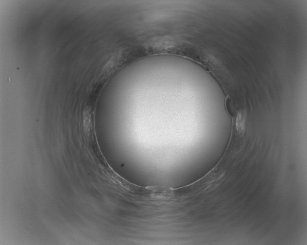 X0000078851299200612041855