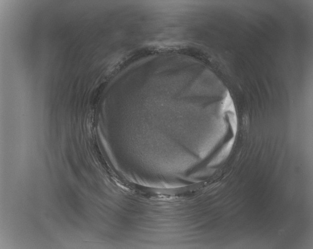 X0000078851300200612041855