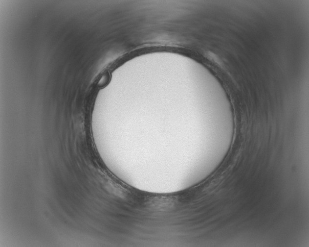 X0000078851307200612041855