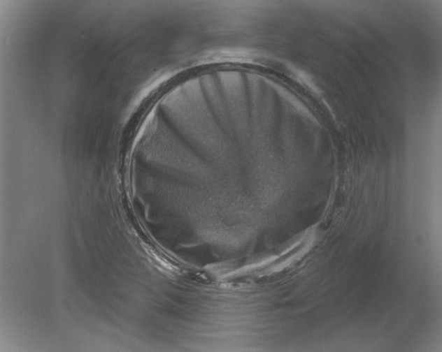X0000078851312200612041856