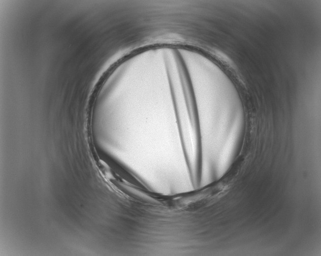 X0000078851326200612041856