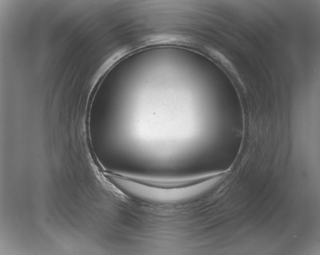 X0000078851330200612041856