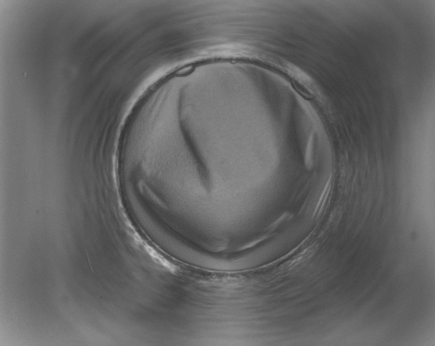 X0000078851334200612041856