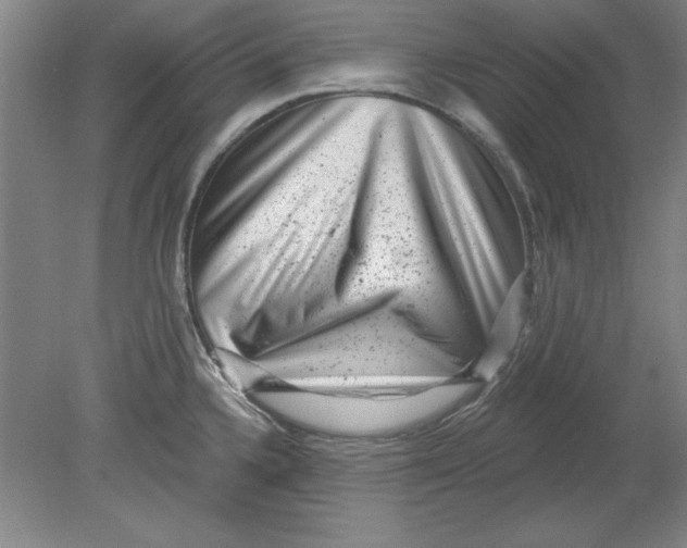 X0000078851336200612041856