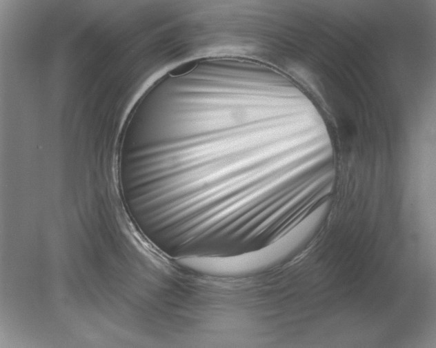 X0000078851340200612041856