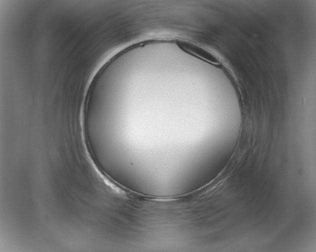 X0000078851343200612041856