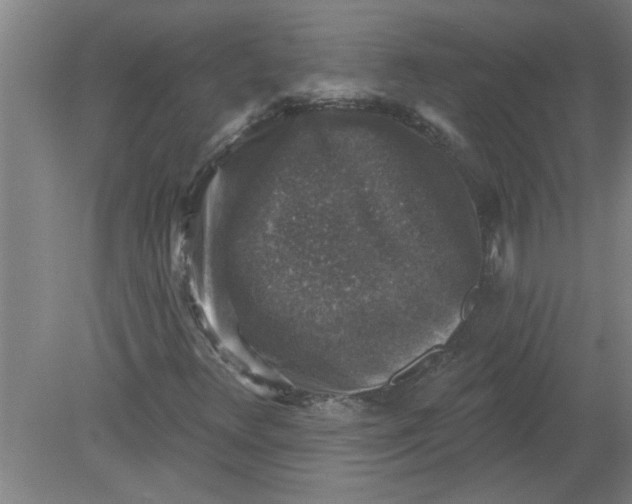 X0000078851348200612041855