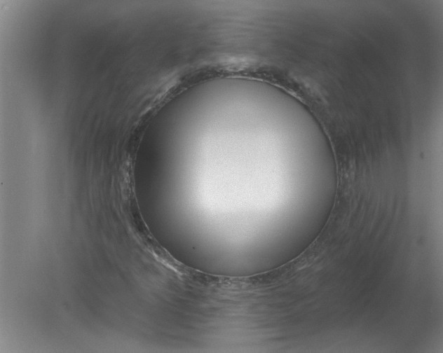 X0000078851349200612041855