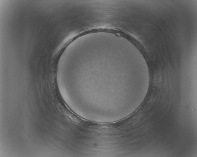 X0000078851359200612041855