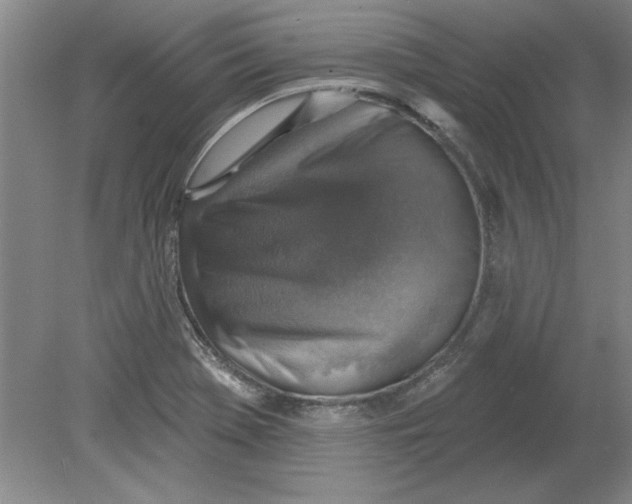 X0000078851369200612041855