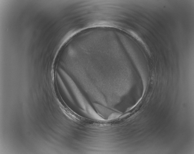 X0000078851372200612041855
