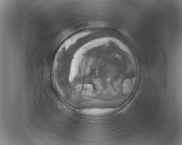 X0000078851401200612041854