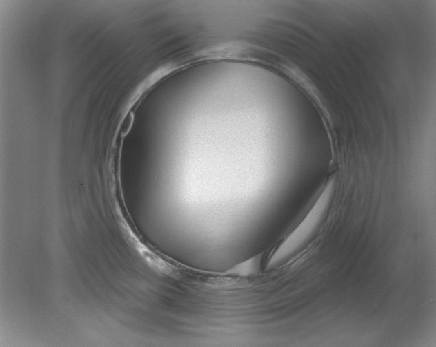 X0000078851434200612041854